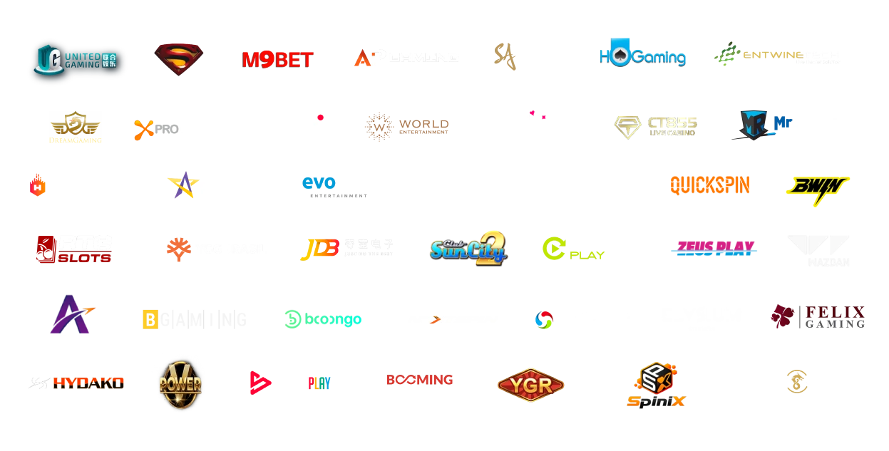 Providers in Gamingsoft